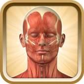 Know Your Body Lite 1.1