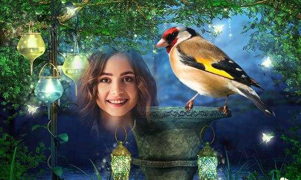 Birds Photo Frames HD screenshot 1