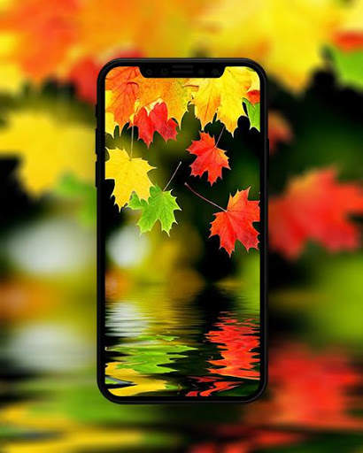 Autumn Wallpaper screenshot 6