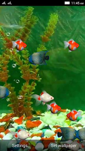 Aquarium Live WallPaper screenshot 2