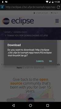 Full Download Manager screenshot 3