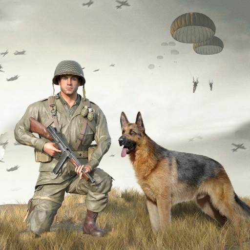 Call Of Courage : ww2 shooting 1.0.89