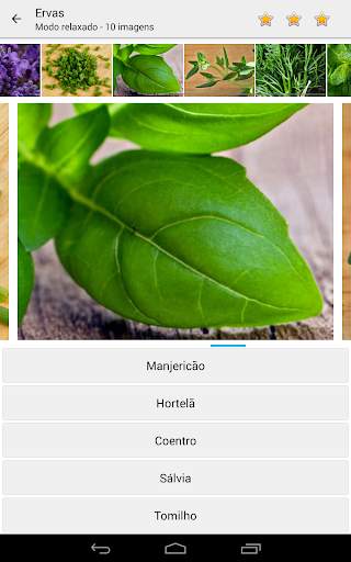 Foto Quiz - Adivinha Pictures screenshot 6