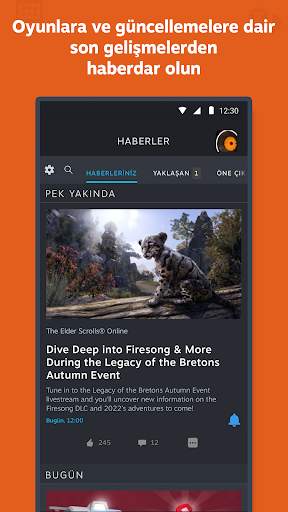 Steam screenshot 6