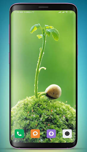 Plants Wallpaper HD screenshot 3