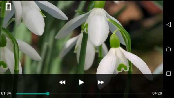 HD MP4 Player screenshot 1