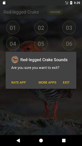 Red-legged crake bird sounds screenshot 5