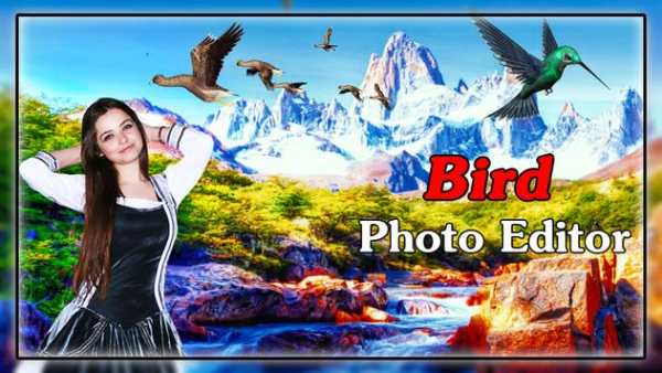 Bird Photo Editor screenshot 4