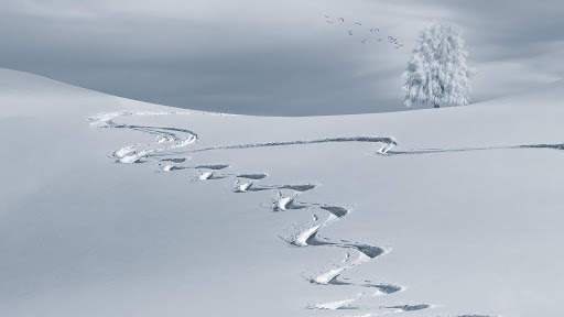 Snow Wallpaper HD : backgrounds & themes screenshot 11