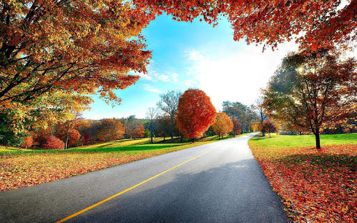 Fall Wallpaper & Screensaver screenshot 3