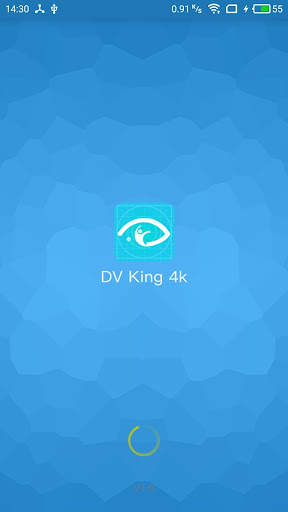 DV KING 4K скриншот 1