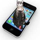 cat on screen - trying to grab your Android icons 1.4