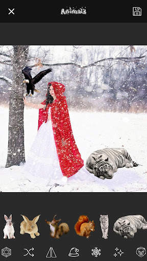 Snowfall Overlay Photo App скриншот 3