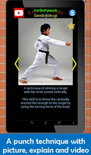 Taekwondo Pro screenshot 9