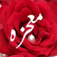 Janab e Syeda s.a ki kahani/ sSzJ icon