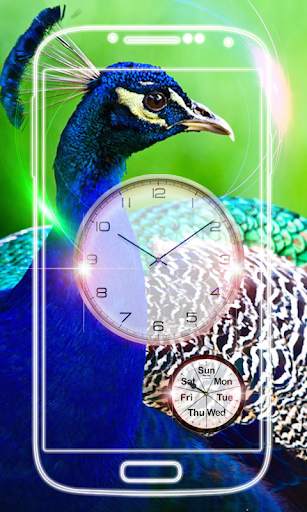 Peacock Clock Live Wallpaper screenshot 6