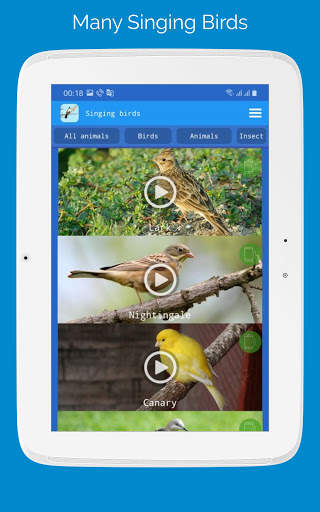 Singing Birds स्क्रीनशॉट 9