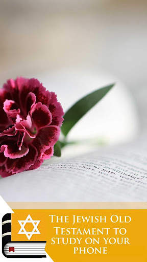Jewish Bible screenshot 5