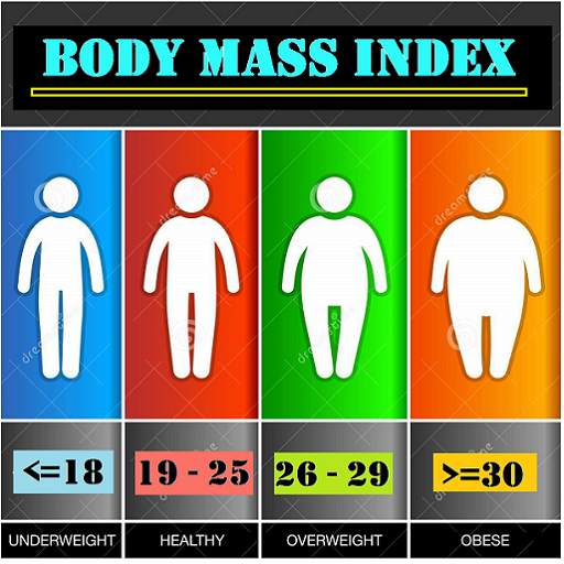 BMI Calculator 2.0
