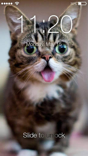 Сats Funny Animals Lock screenshot 1
