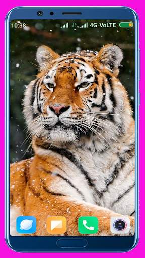 Tiger Wallpaper Best 4K screenshot 2