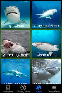 Shark Revenge Attack screenshot 3