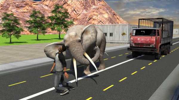 Elephant Racing Simulator 2016 screenshot 10