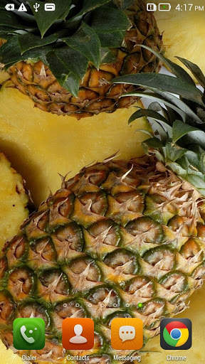 Pineapple Live Wallpaper screenshot 4