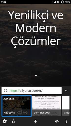 NetRover Web Tarayıcı screenshot 4