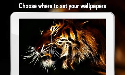 Tiger Wallpaper (4k) screenshot 3