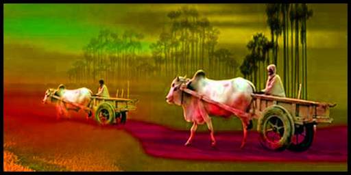 Dhenu TV screenshot 4