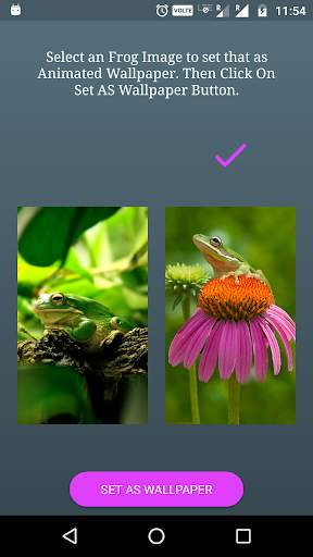 Funny Frog Live Wallpaper स्क्रीनशॉट 1