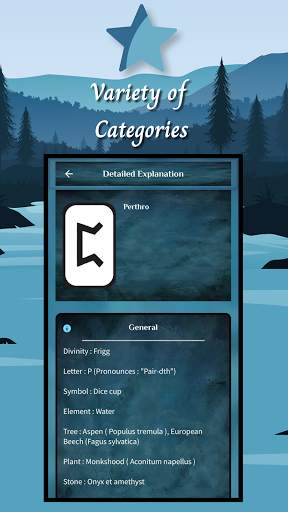 Runes Reading–Runic Divination screenshot 4