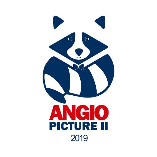Angiopicture 2019 1.1.4