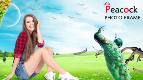 Peacock Photo Frame screenshot 1