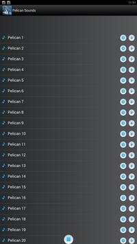 Pelican Bird Sounds Ringtones screenshot 3