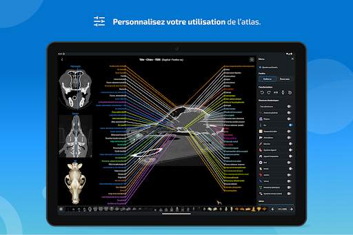vet-Anatomy screenshot 14