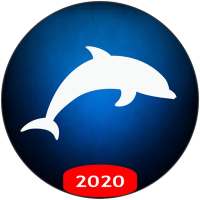 Dolphin VPN - Faster & Safer Internet, Free VPN