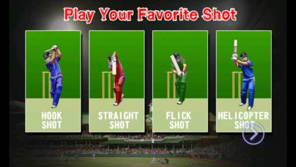 I P Lead Cricket screenshot 5