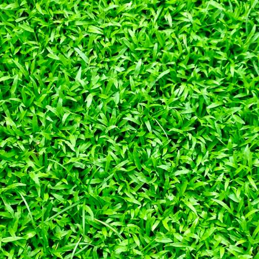 Grass Wallpapers 2.1.0