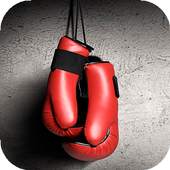 Boxing Wallpapers 4.1
