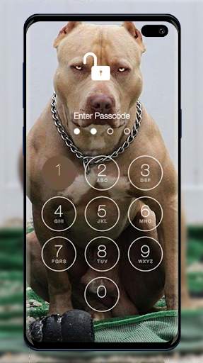 Pitbull Wallpapers & Lock Screen 5 تصوير الشاشة