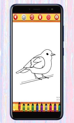Birds Coloring & Drawing Book- screenshot 3