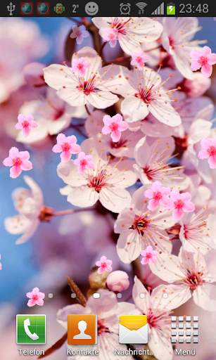 Sakura Live Wallpaper screenshot 2