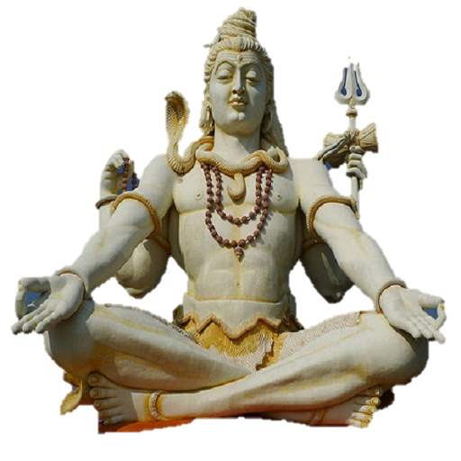 Yoga Mudras 15
