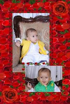 Rose Flower Photo College screenshot 7
