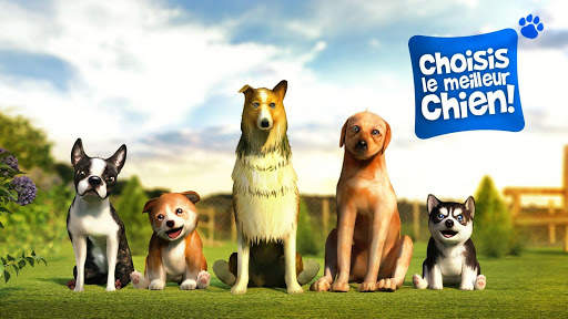 Dog Simulator screenshot 3