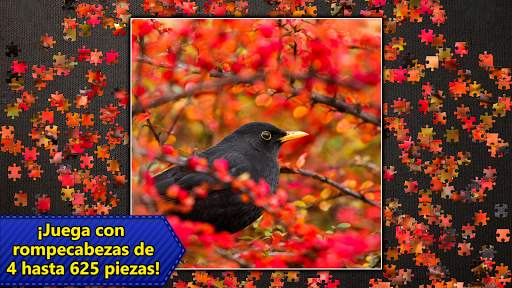 Rompecabezas Jigsaw Puzzles screenshot 15