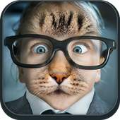 Face Photo Morphing 1.0