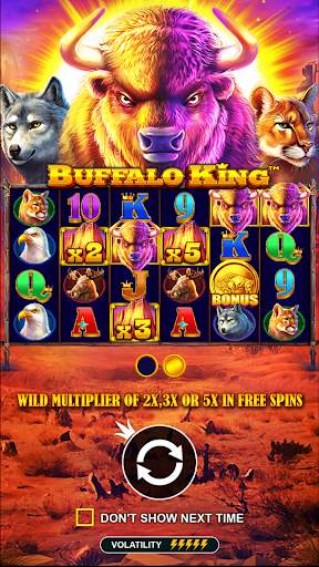 Buffalo King: Slot Casino Game screenshot 2